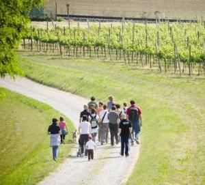 Franciacortando_passeggiata