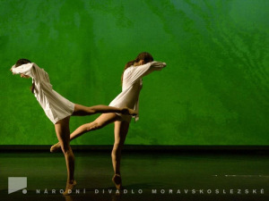 Národního divadla-cunningham