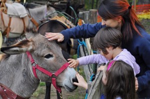 asini Compagnia degli Asinelli_ph E.Casale