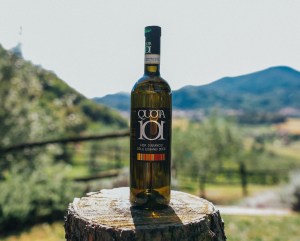 QUOTA101_foto_tenuta